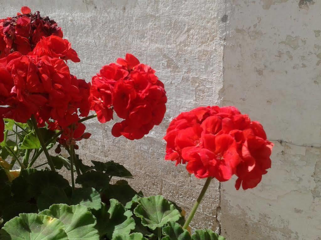 Borgo San Martino Hotel Bra Luaran gambar